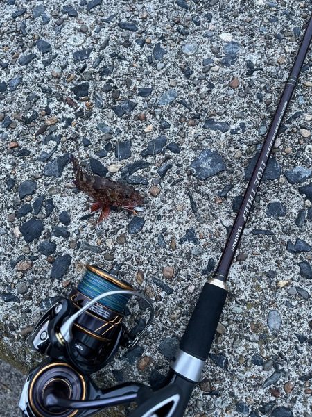 宮津でガシリング