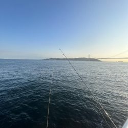 豆アジのシーズン