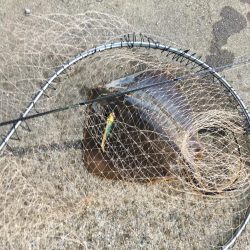 vjは何にでも効く