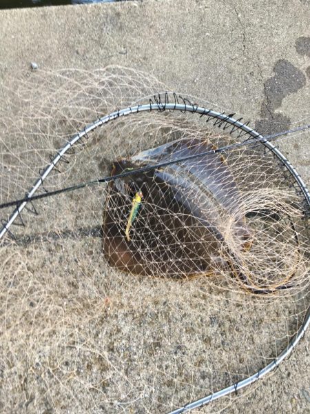 vjは何にでも効く