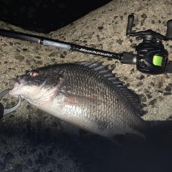 チヌハンターパート5