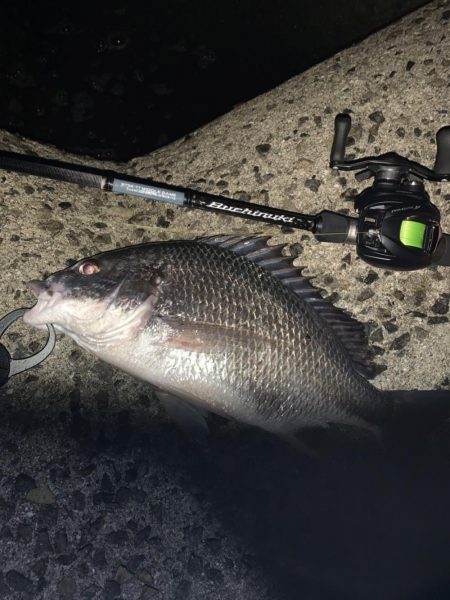 チヌハンターパート5