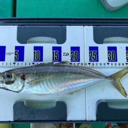 泉州丸さんで五目