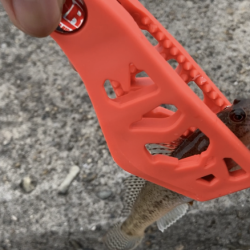 名古屋港でキス釣り