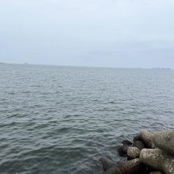 フカセ釣り4回目