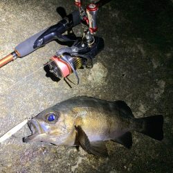 爆風メバリング