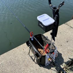 3回目のフカセ釣りでやっと釣れました。