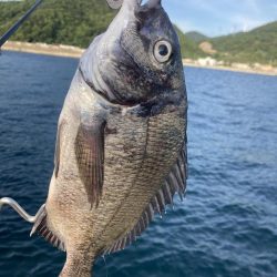 紀州釣り