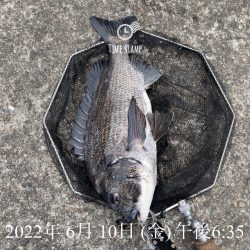 大阪港ヘチ釣り