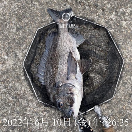 大阪港ヘチ釣り