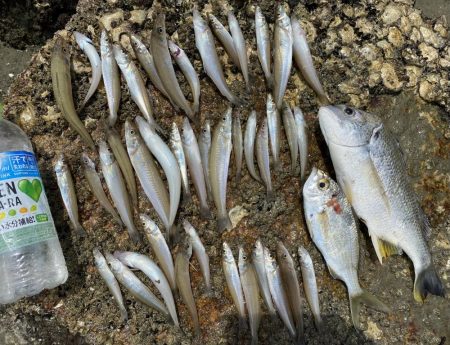 ちょい投げキス