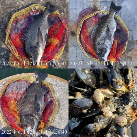 岸和田ヘチ釣り