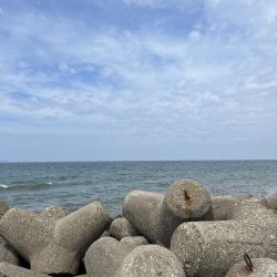 フカセリベンジ