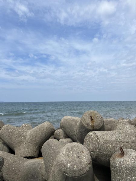 フカセリベンジ