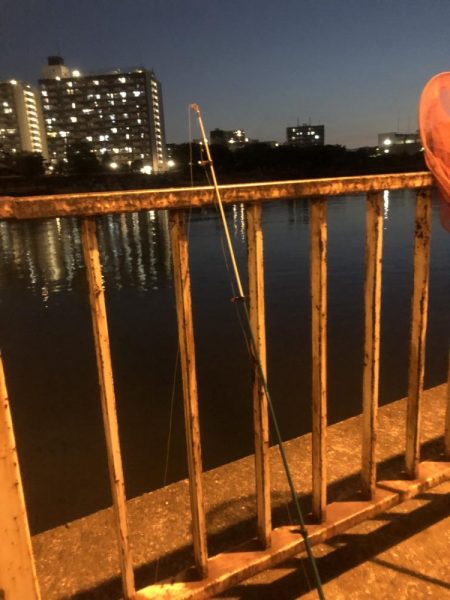 チヌの夜釣り