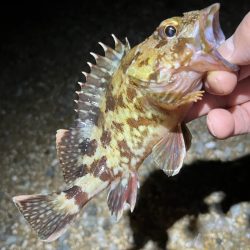 サーフメバリング