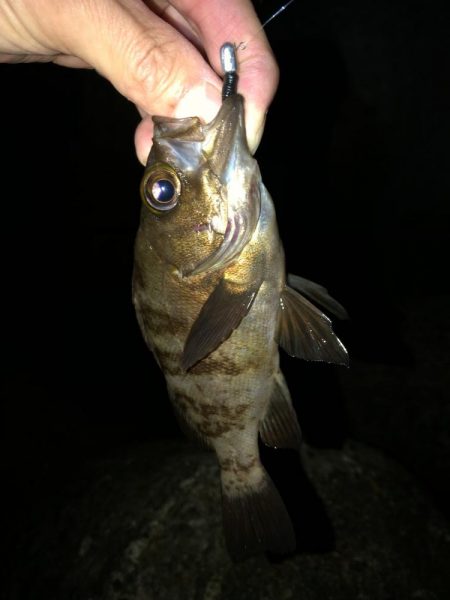 ちょっとのつもりが