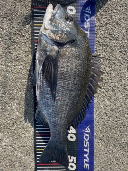 イチノ兄弟、釣果！