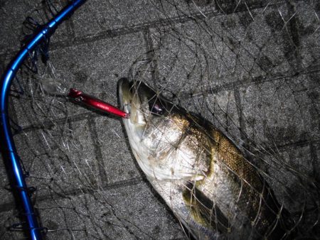 日没後に連続ヒットあり