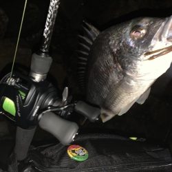 チヌハンターパート7