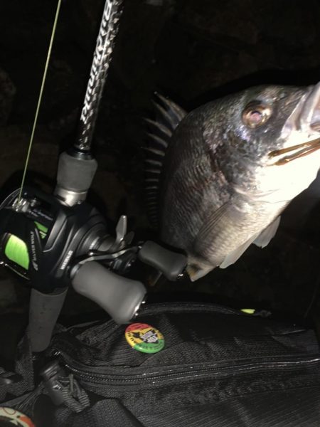 チヌハンターパート7