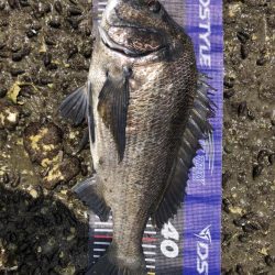 イチノ兄弟、釣果!