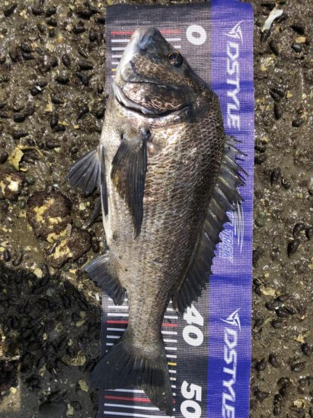 イチノ兄弟、釣果！