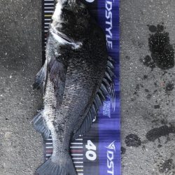 イチノ兄弟、釣果!