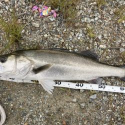 丸々二ヶ月振り