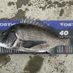 イチノ兄弟、釣果!