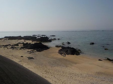 今年2回目の奄美大島