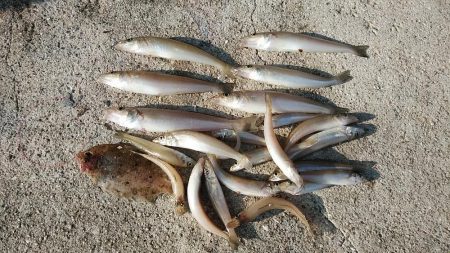 今シーズン最高の暑さでした