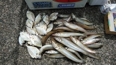 シーズン初の津居山釣行