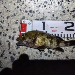 修理完了確認釣行