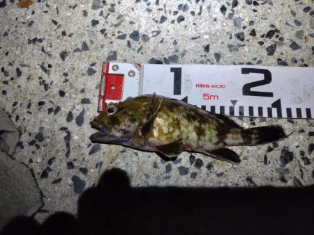 修理完了確認釣行