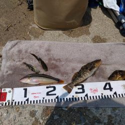 ふぐにヤられた^^;