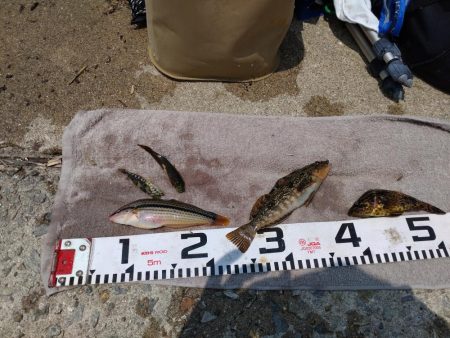 ふぐにヤられた^^;