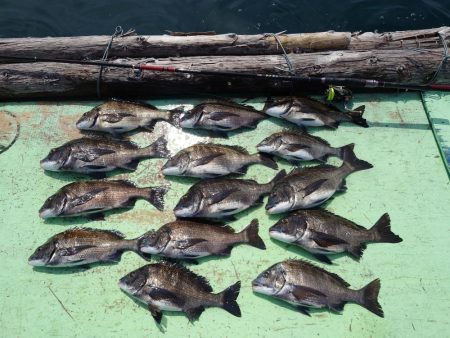 ノッコミ終盤？大黒神島沖の筏