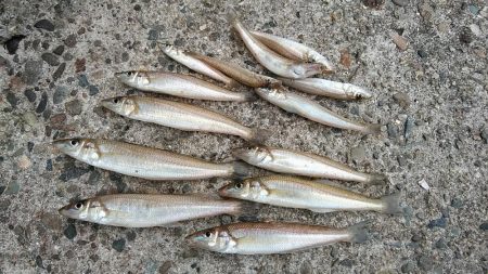 活性が一気に下がりました