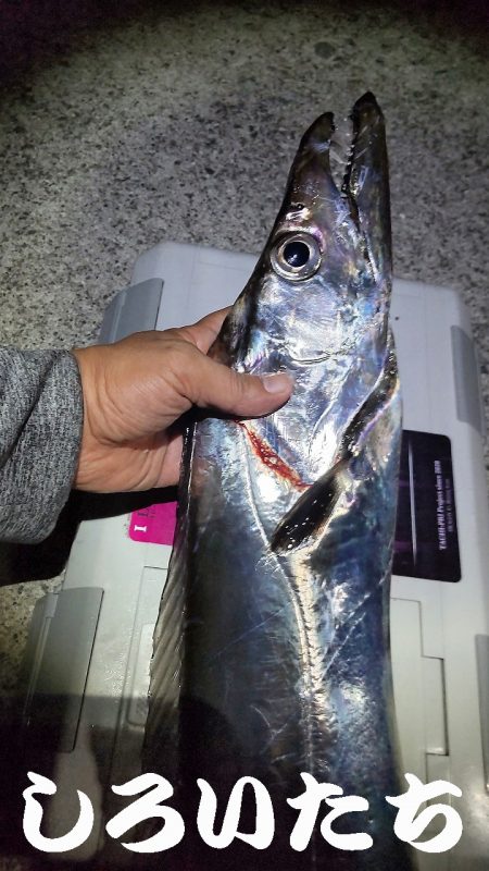 ドラゴン狙いでチャレンジ遠征。