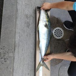 今年初のショアジギング！