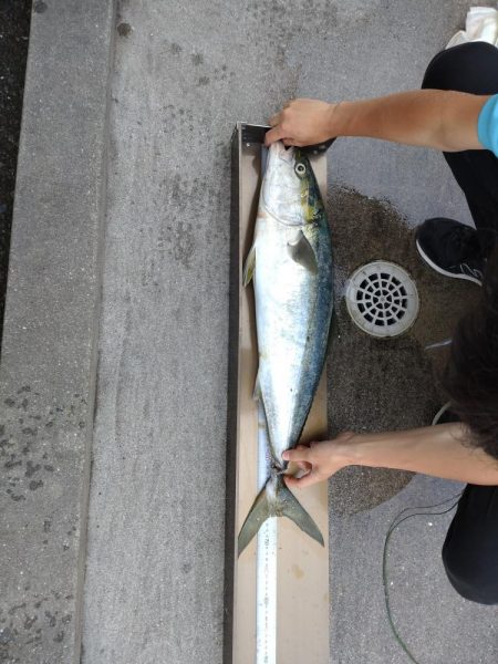 今年初のショアジギング！