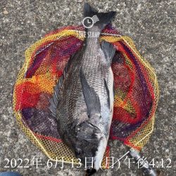 大阪港ヘチ釣り