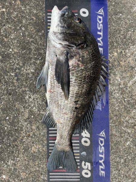 姫路梅雨爆‼️…