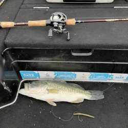 アフタースポーン