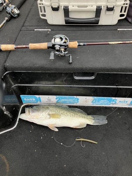 アフタースポーン