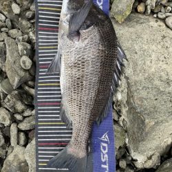 イチノ兄弟、釣果!