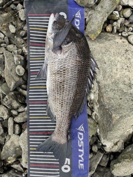 イチノ兄弟、釣果!