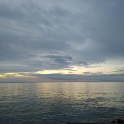 エギングとメバリング