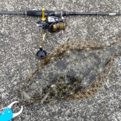 ヒラメ釣り、何じゃこれは!?